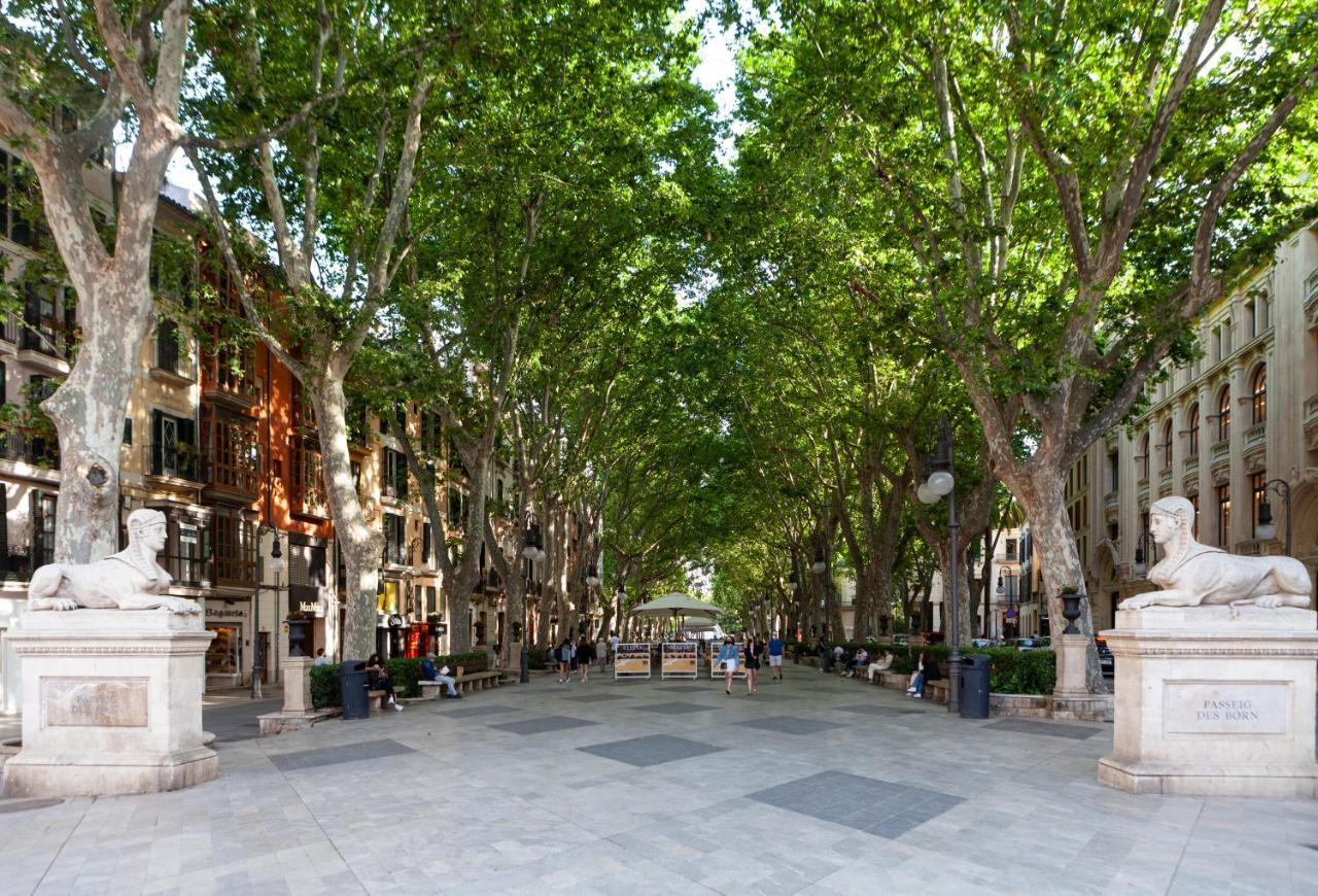 Nivia Born Boutique Hotel Palma de Mallorca Ngoại thất bức ảnh